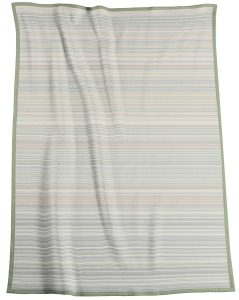Biederlack Stripe - Sage